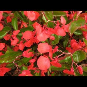 Meet your Posher, Sandy